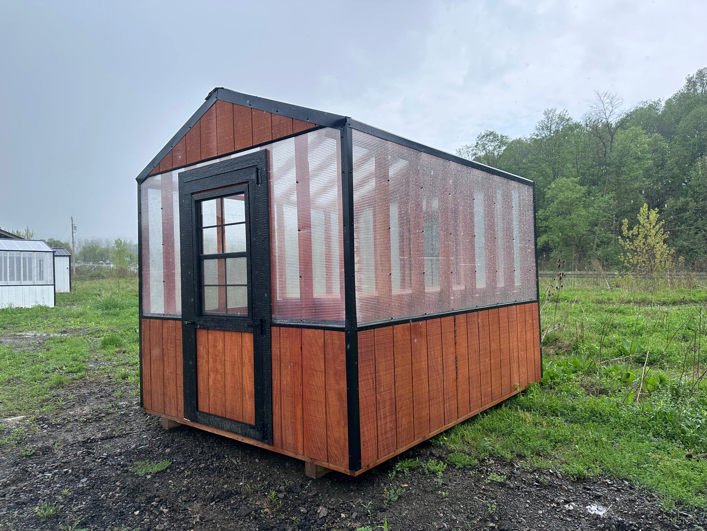 8x12 Greenhouse 1241