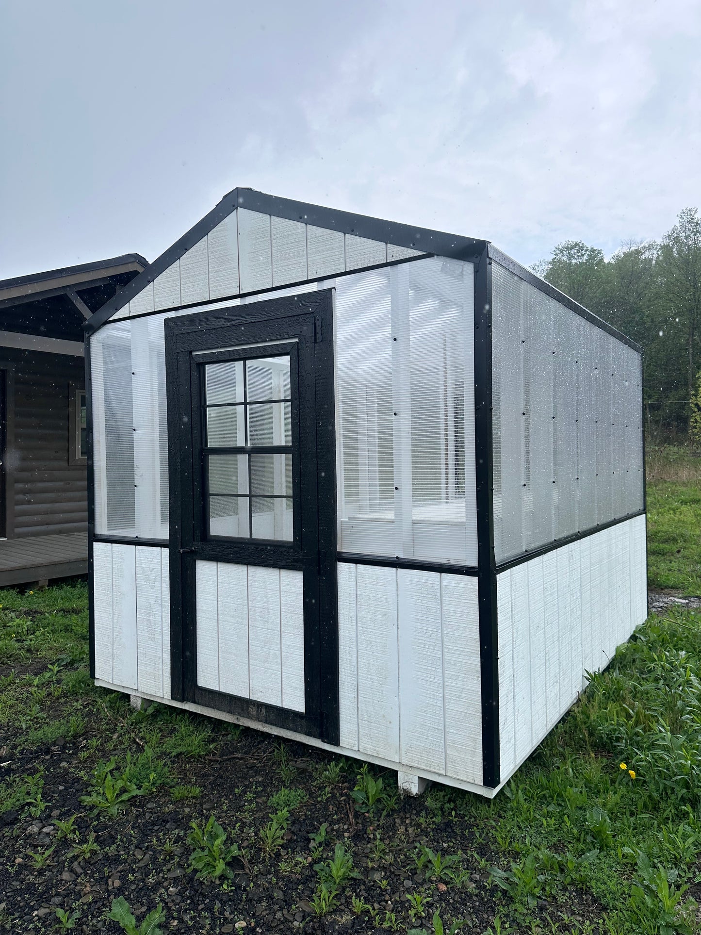 8x12 Greenhouse 1243