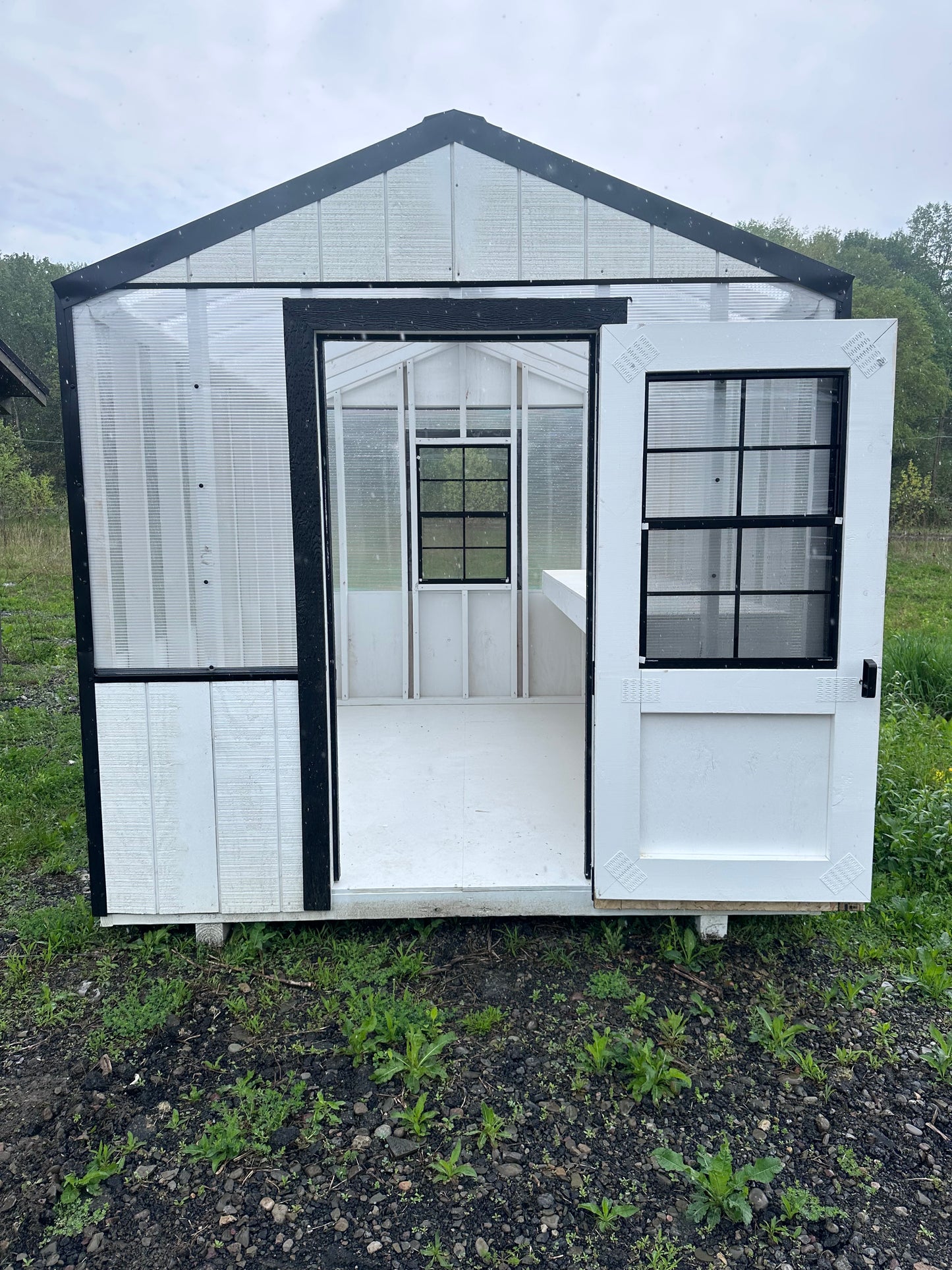 8x12 Greenhouse 1243